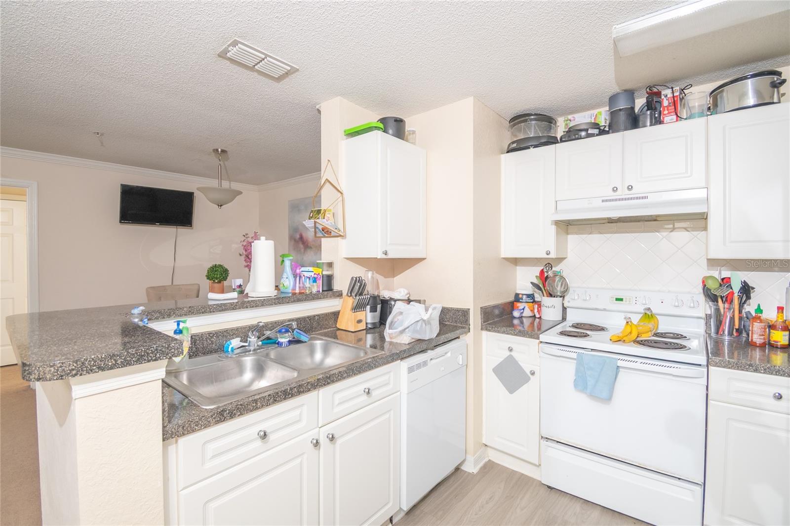 Image 4 of 28 For 18001 Richmond Place Drive 735