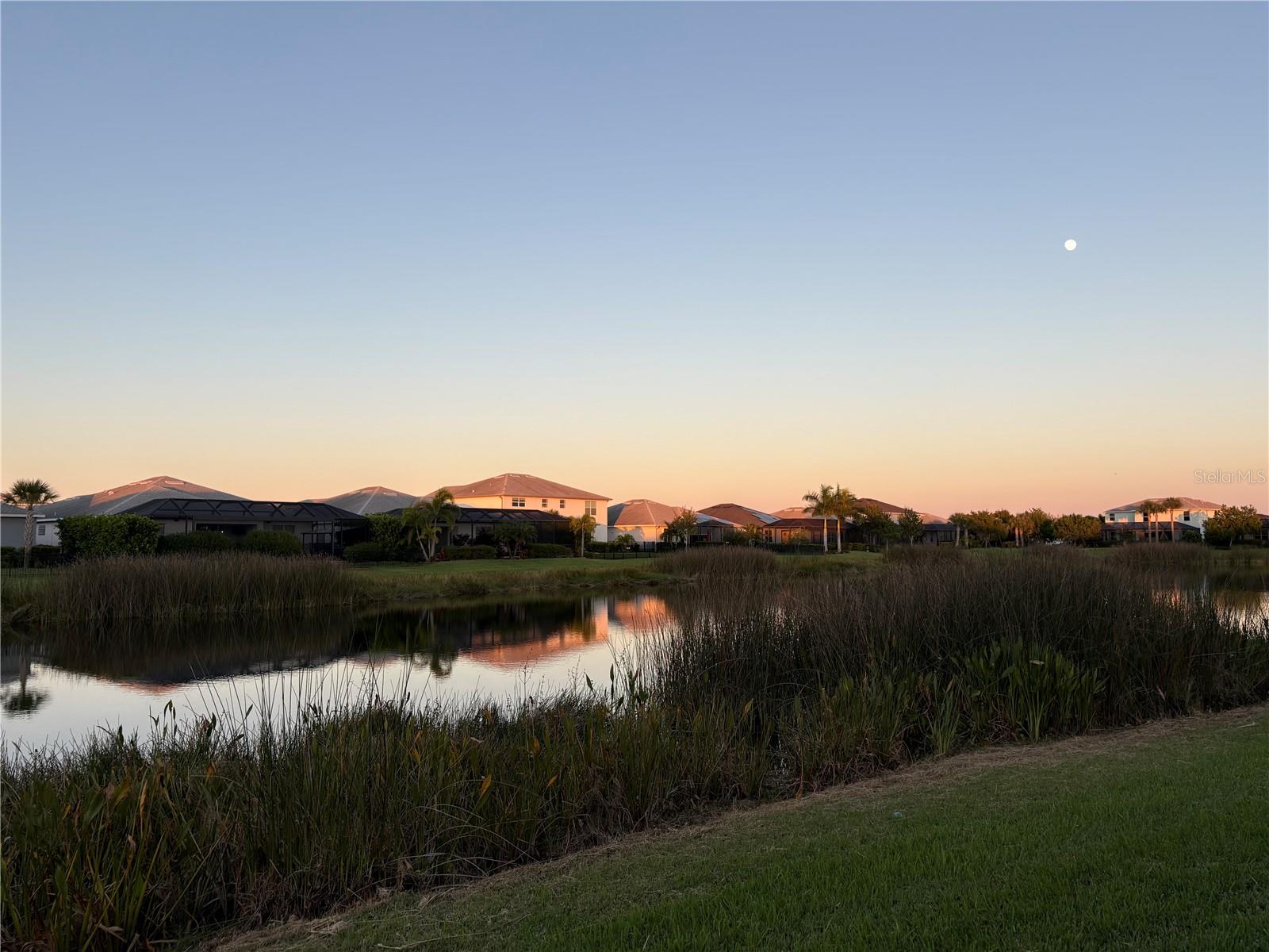 Image 28 of 35 For 43308 Sapling Street