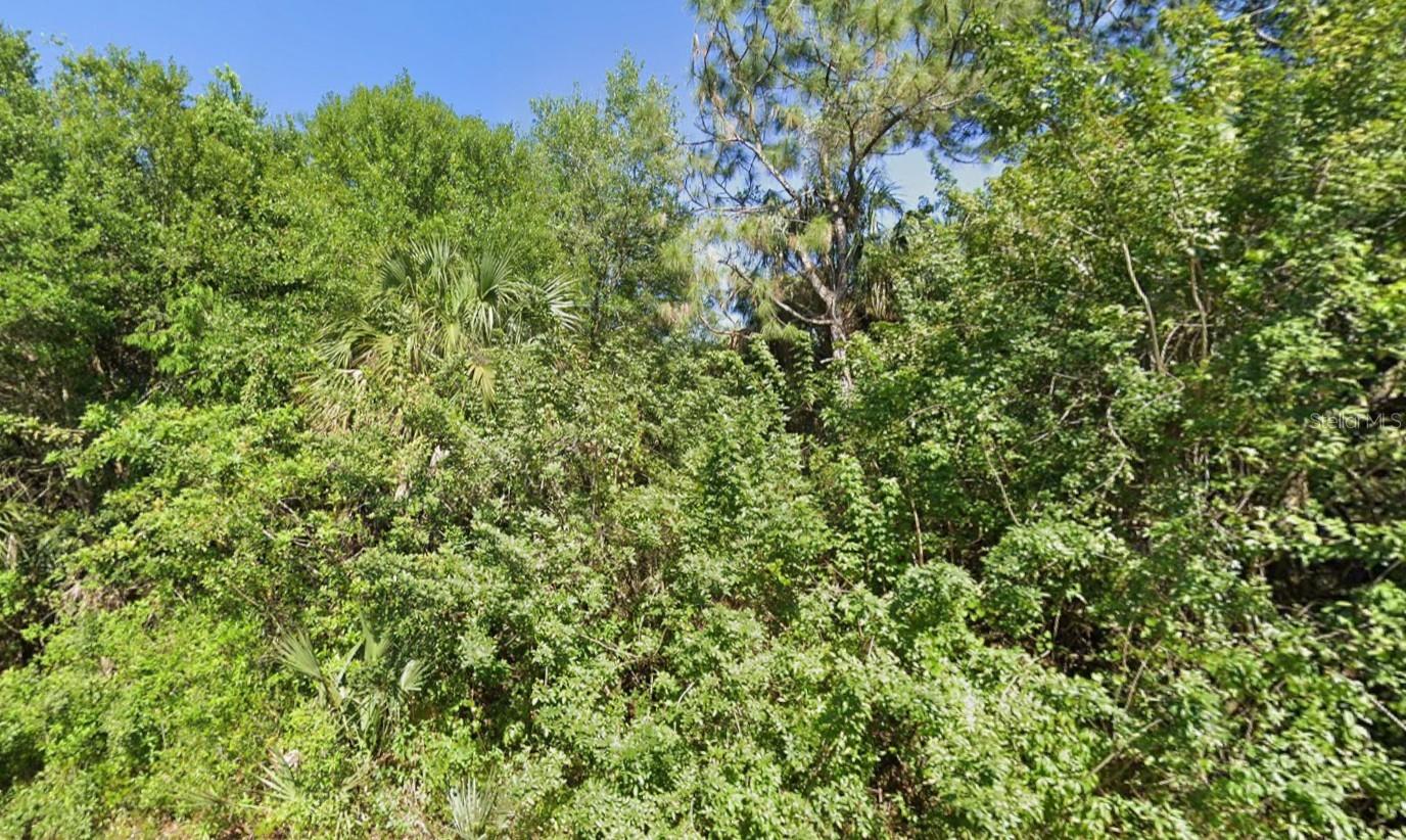 Image 3 of 7 For 4702 Vera Avenue N