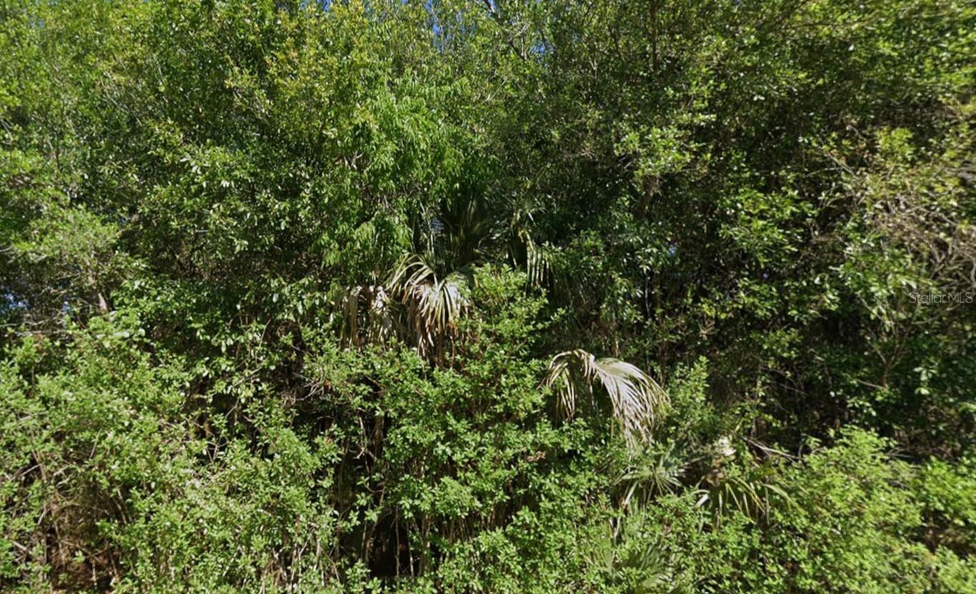 Image 4 of 7 For 4702 Vera Avenue N