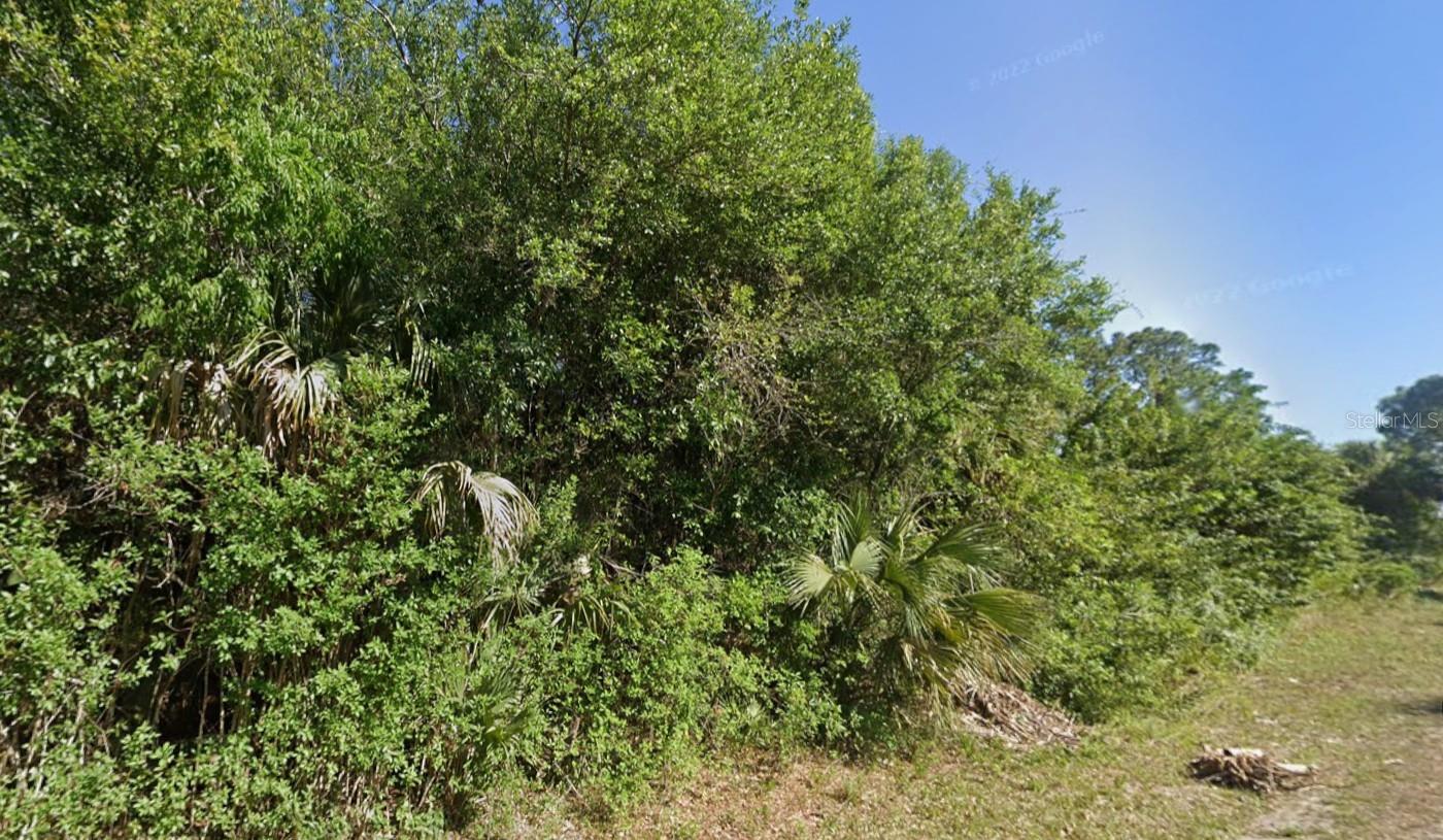 Image 5 of 7 For 4702 Vera Avenue N