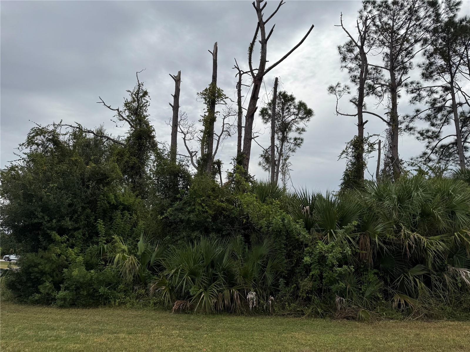 Details for Amnesty Drive, NORTH PORT, FL 34288