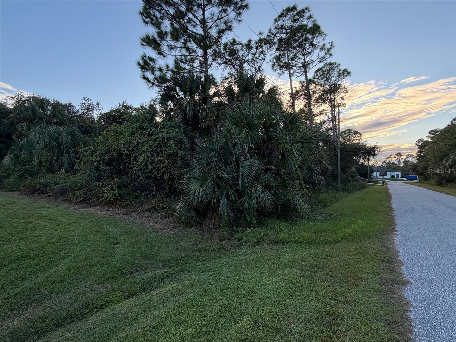 Image 4 of 6 For Abesaid Avenue