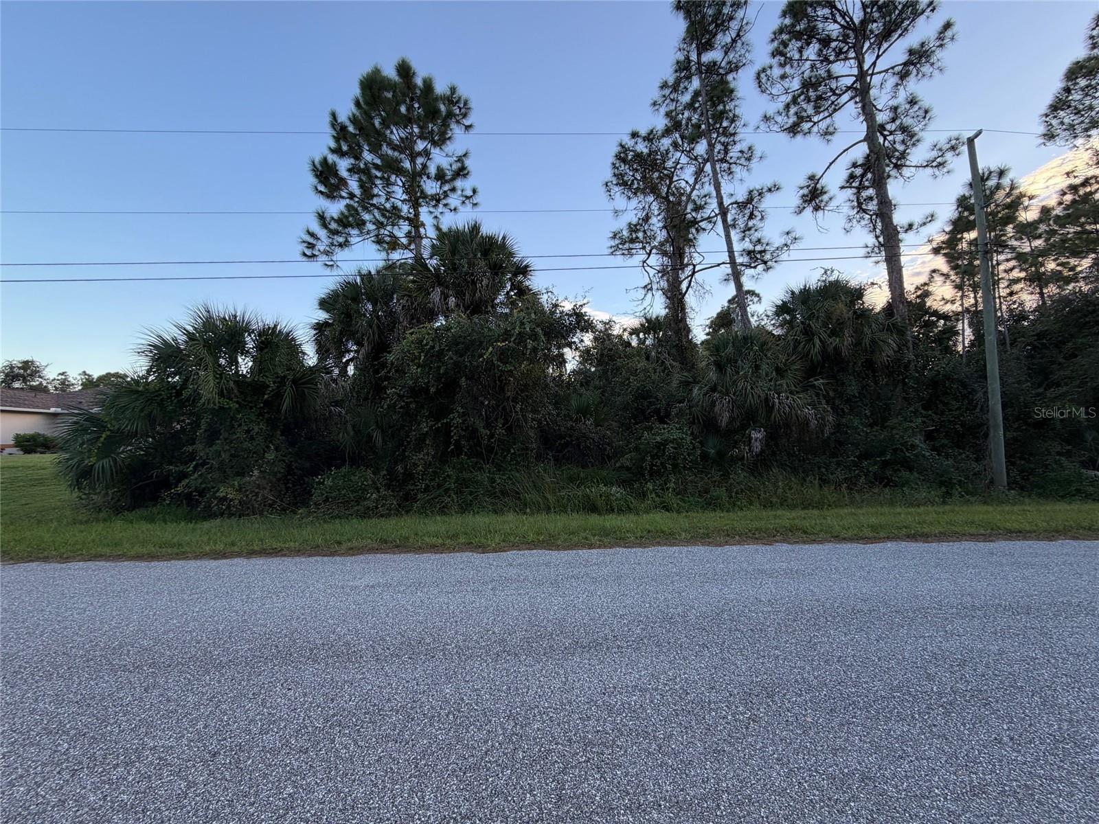 Image 5 of 6 For Abesaid Avenue