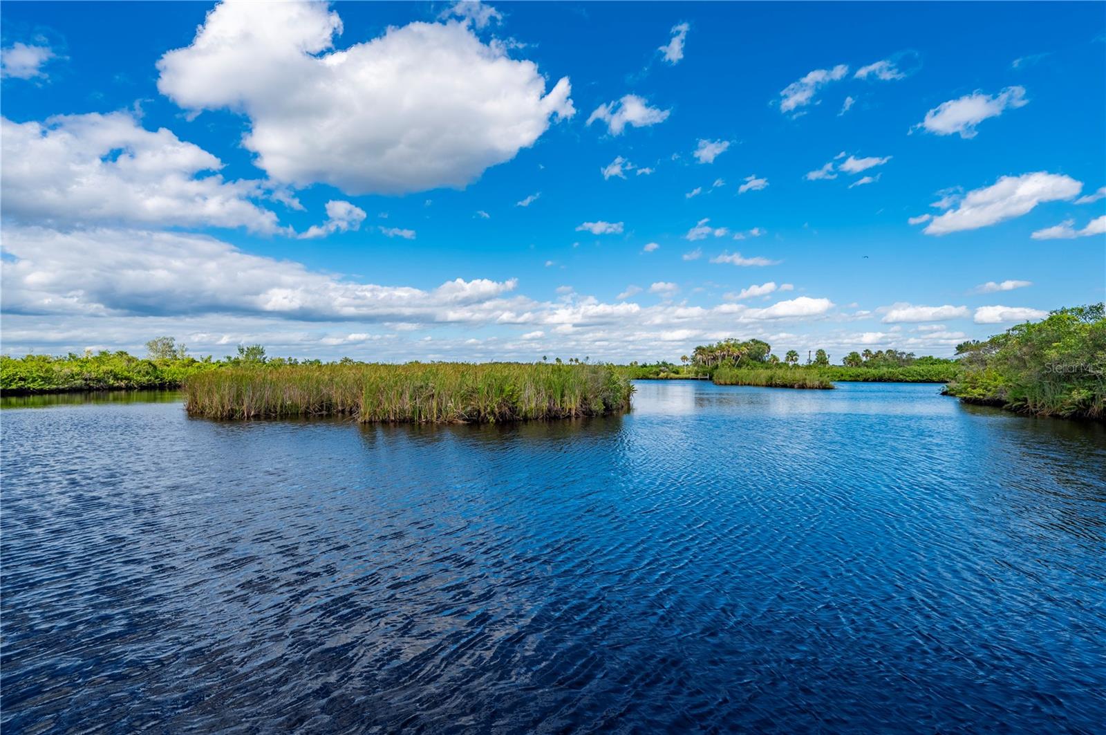 Image 52 of 63 For 38881 Washington Loop Road