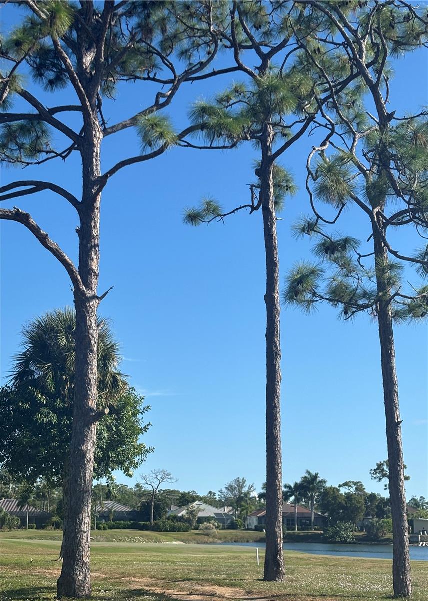 Image 3 of 9 For 3000 Big Bend Circle