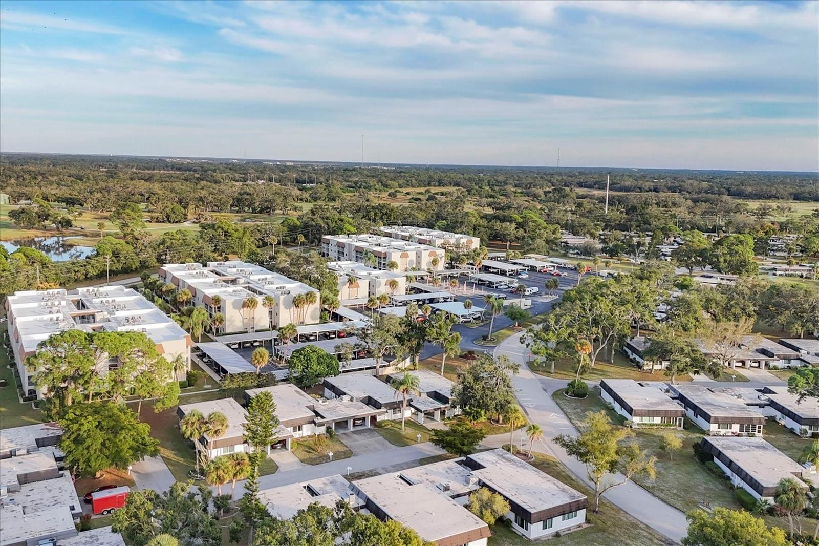 Image 49 of 50 For 3947 Panola Lane 180