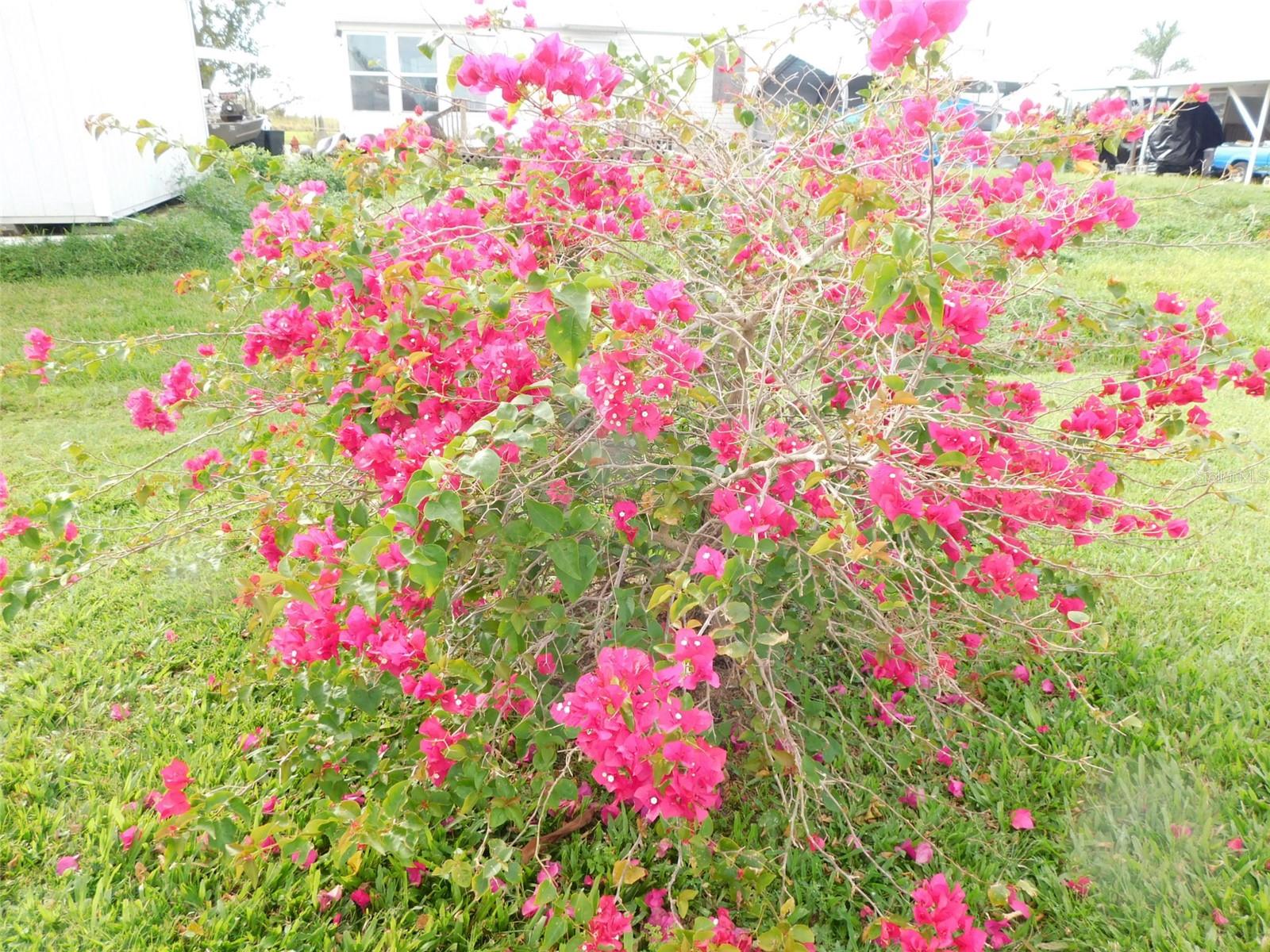 Image 46 of 52 For 11739 Lemon Avenue