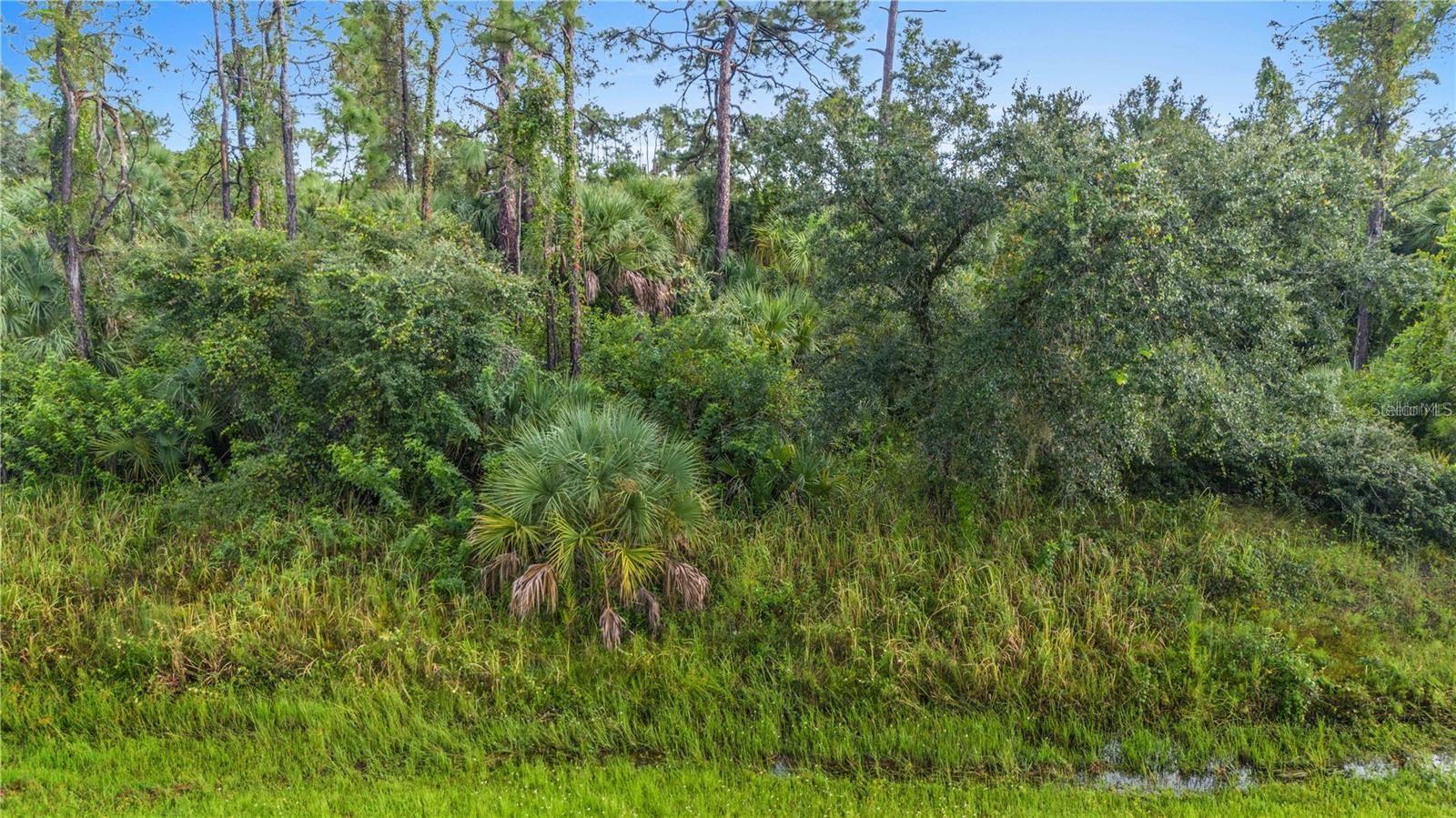 Details for Baywood Avenue, NORTH PORT, FL 34288