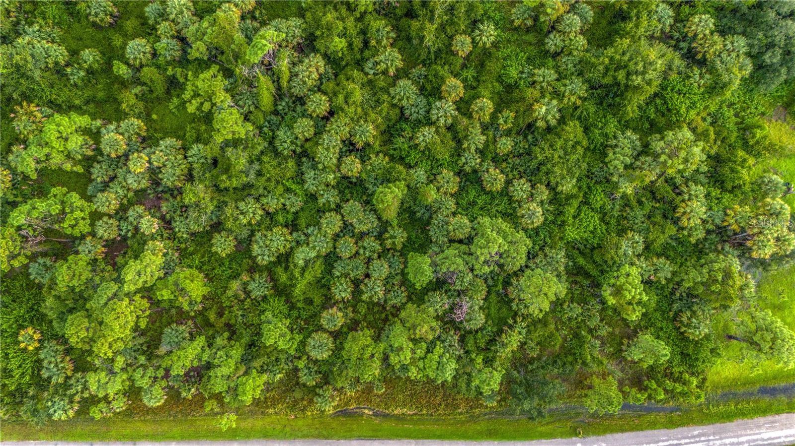 Image 4 of 5 For Baywood Avenue