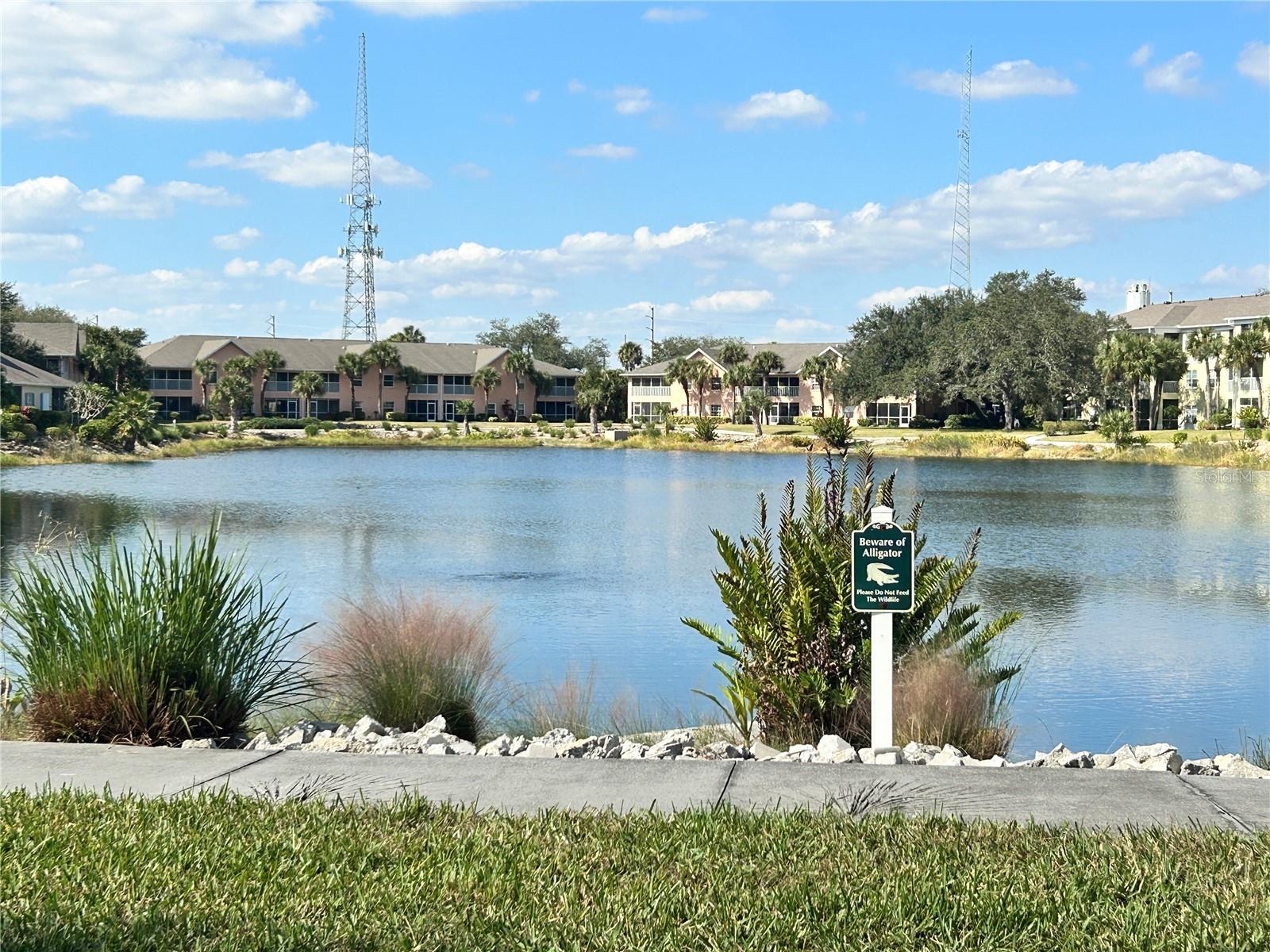 Image 37 of 45 For 19310 Water Oak Drive 201