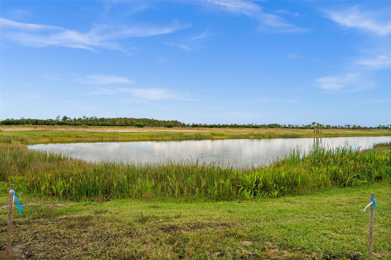 Image 40 of 48 For 44518 Little Blue Heron Way