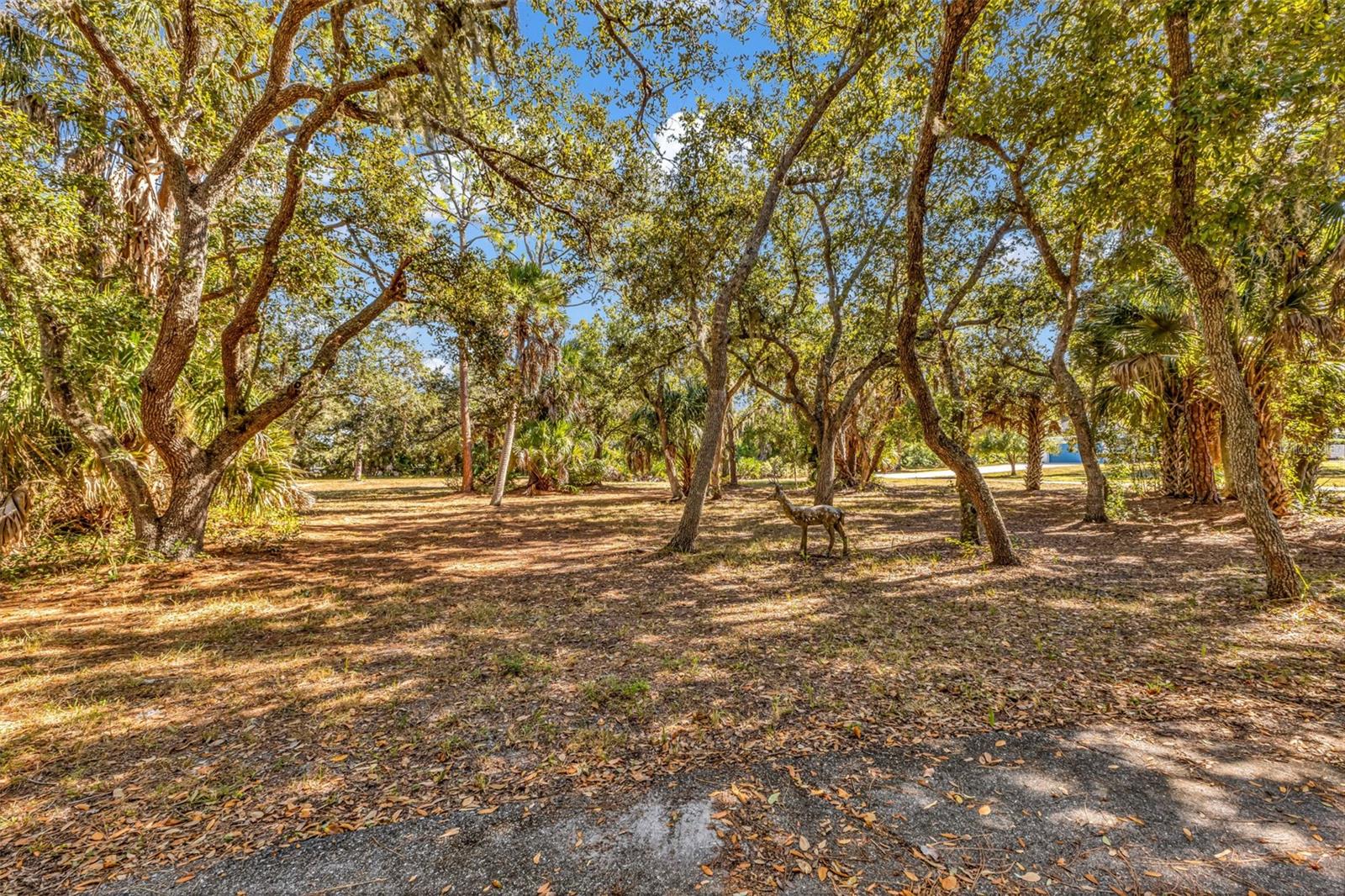 Image 3 of 76 For 24581 Nova Lane