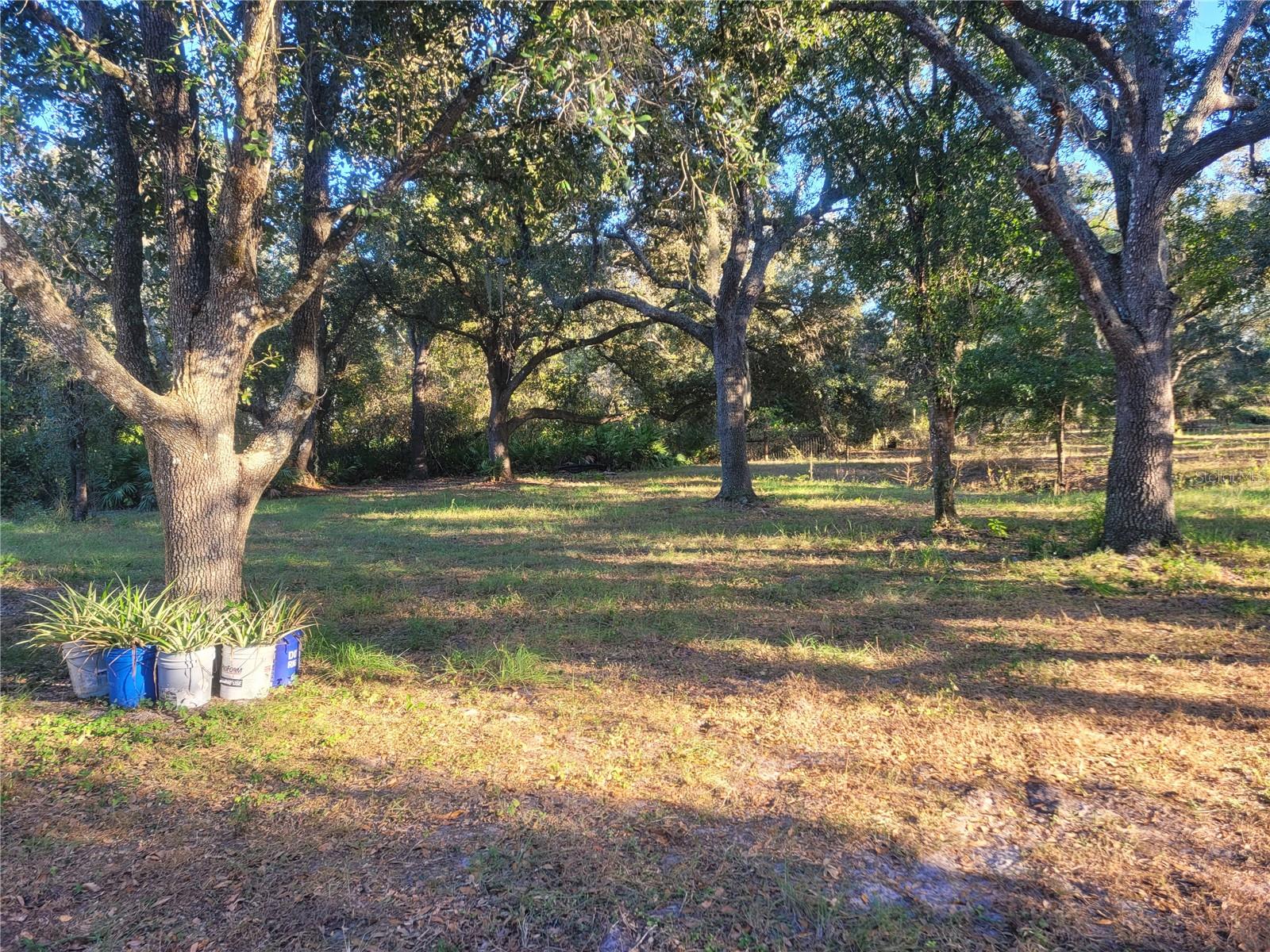 Image 26 of 63 For 7283 Environmental Lab Street