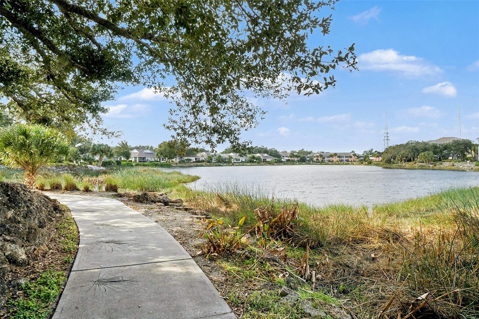 Image 23 of 52 For 19375 Water Oak Drive 303