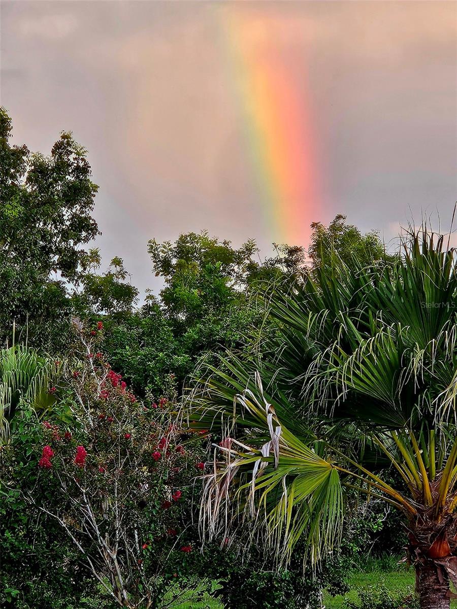 Listing photo id 37 for 25275 Rampart Boulevard 1802