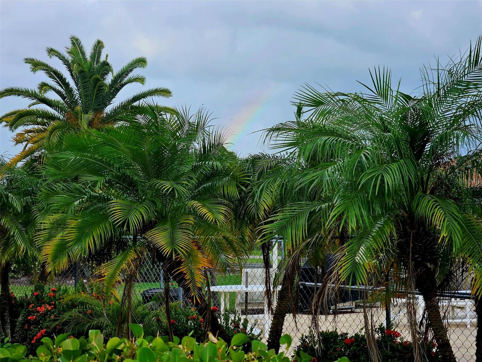 Listing photo id 39 for 25275 Rampart Boulevard 1802