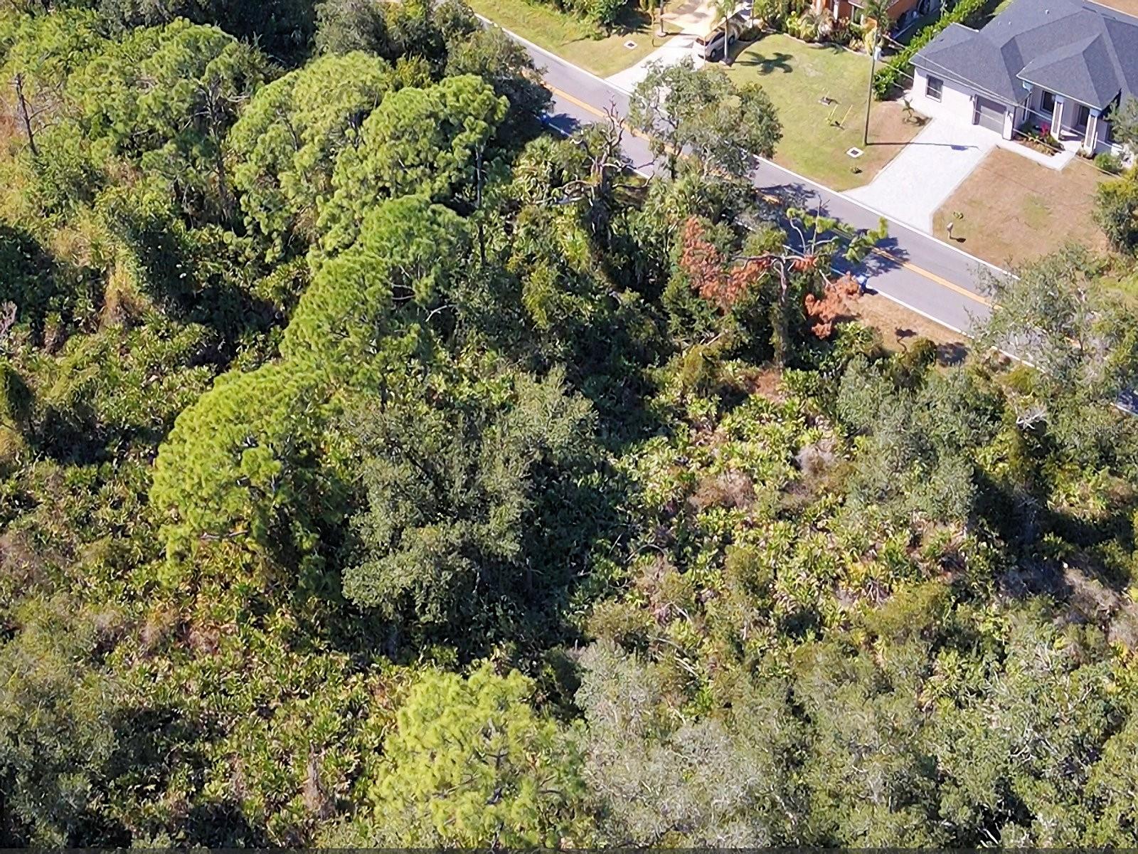 Image 10 of 13 For De Leon Drive