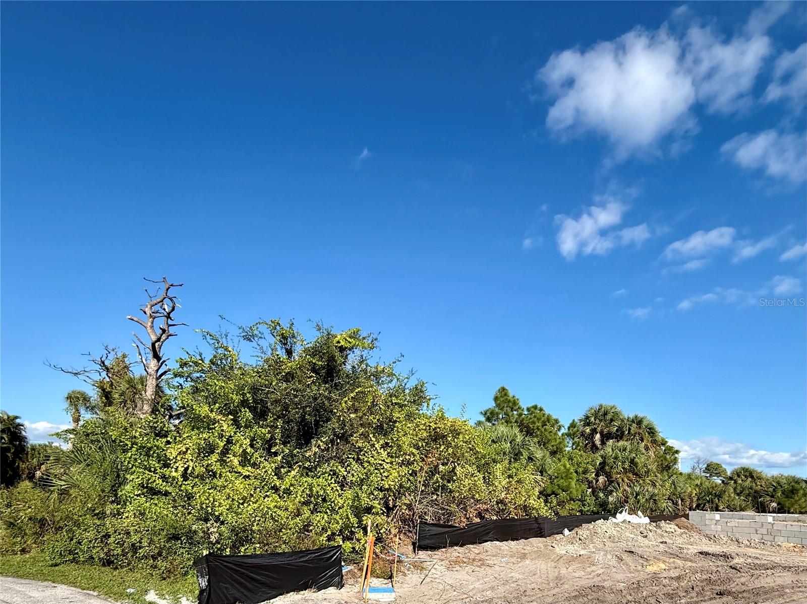 Image 2 of 12 For 3470 Ethlyn Lane