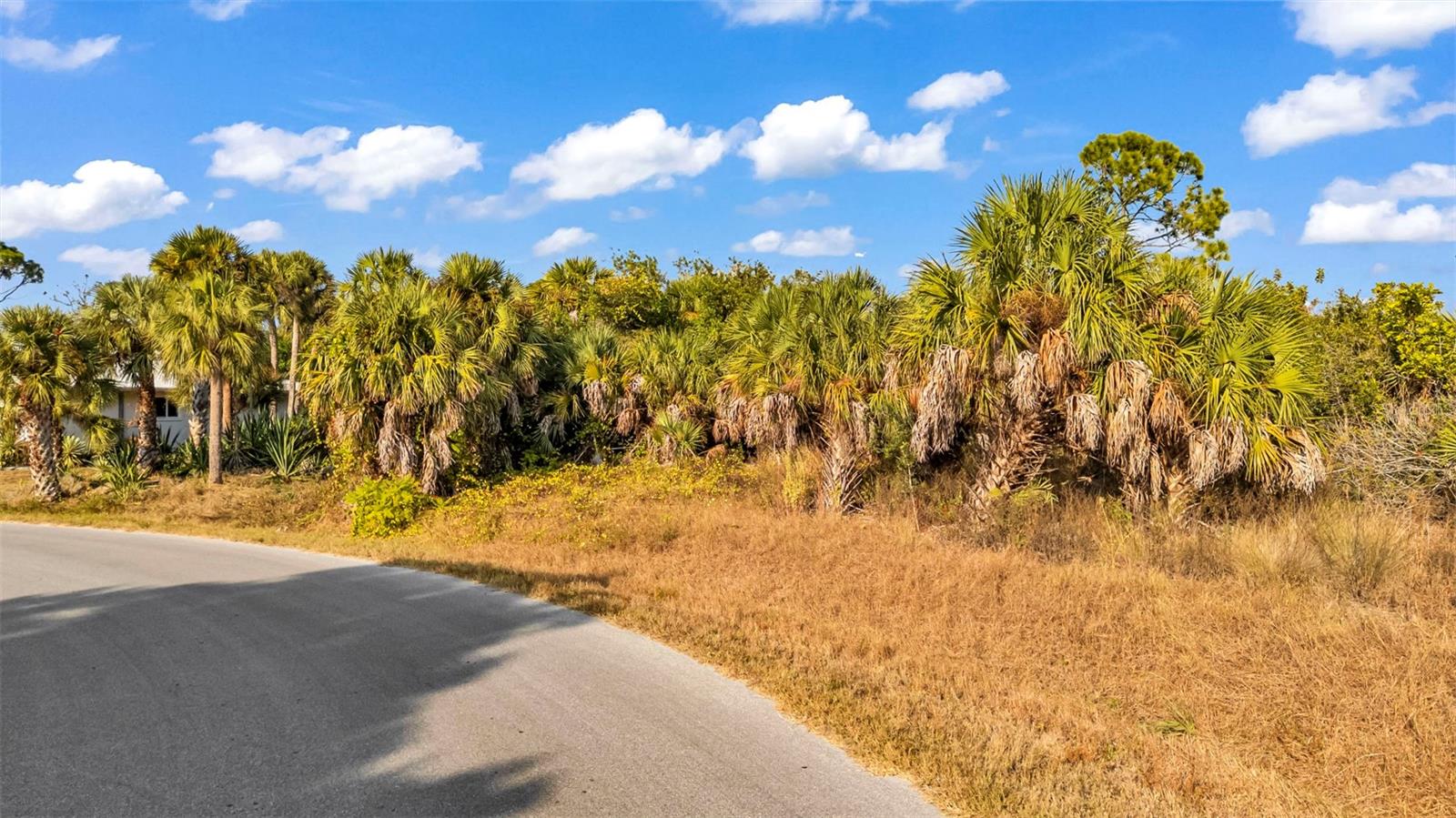 Image 4 of 8 For 366 Lomond Drive