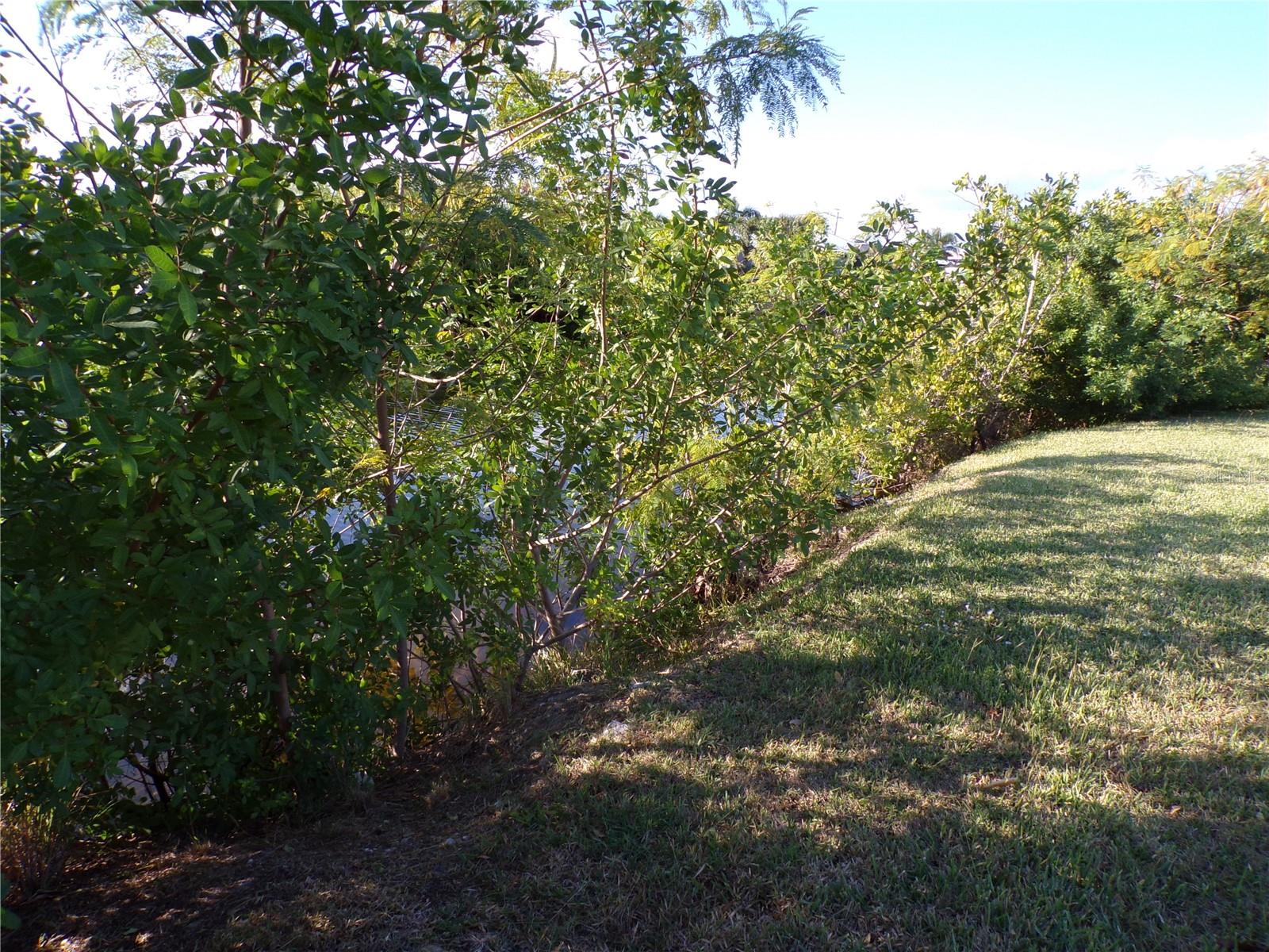 Image 13 of 19 For 4421 Pelican Pointe Drive