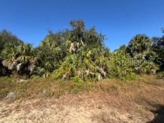 Details for Lot 4 Mattox Circle, NORTH PORT, FL 34288
