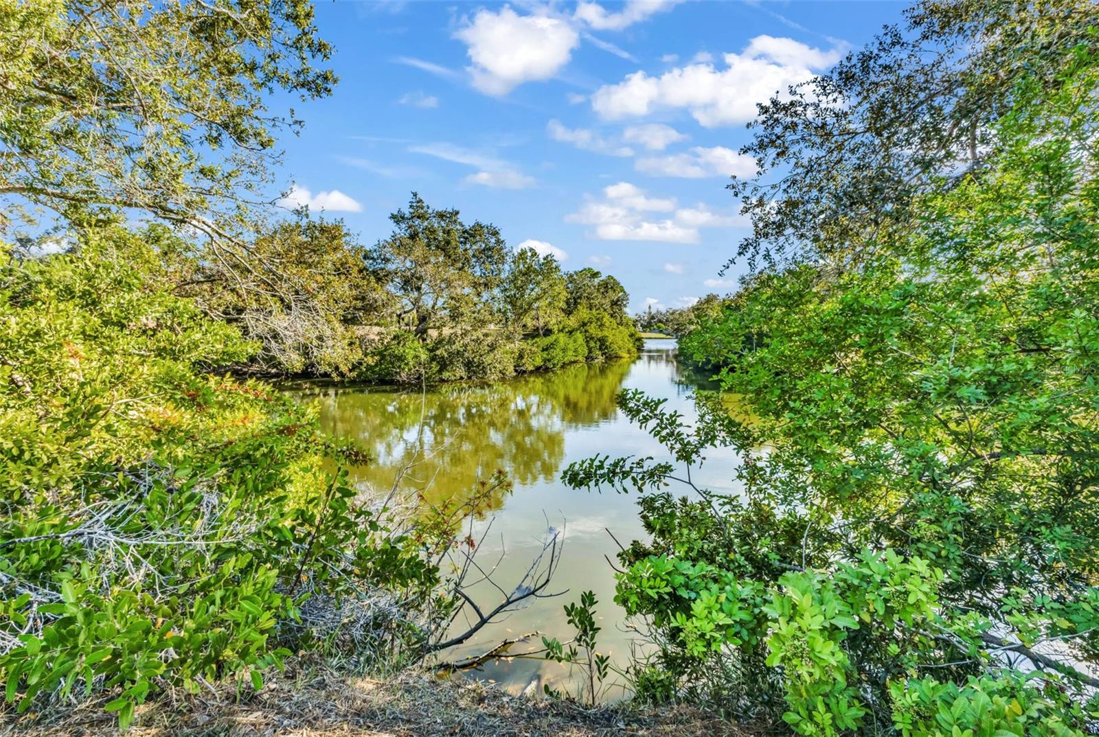 Image 53 of 59 For 2421 Belle Road