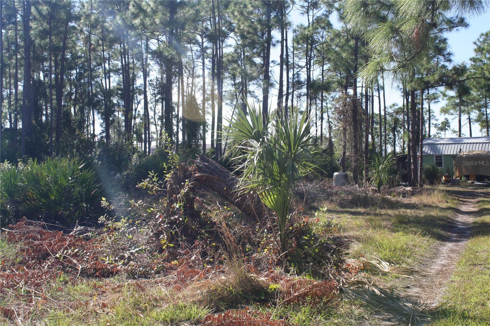 Image 3 of 5 For 8089 Austrian Boulevard