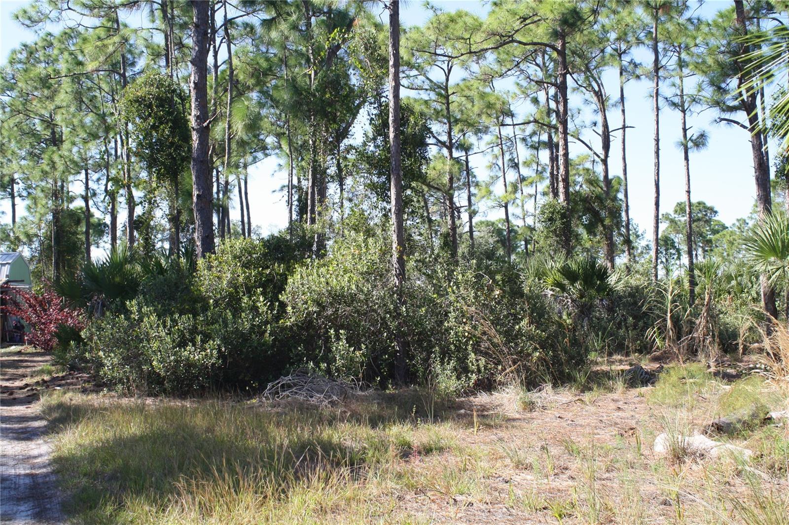 Image 4 of 5 For 8089 Austrian Boulevard