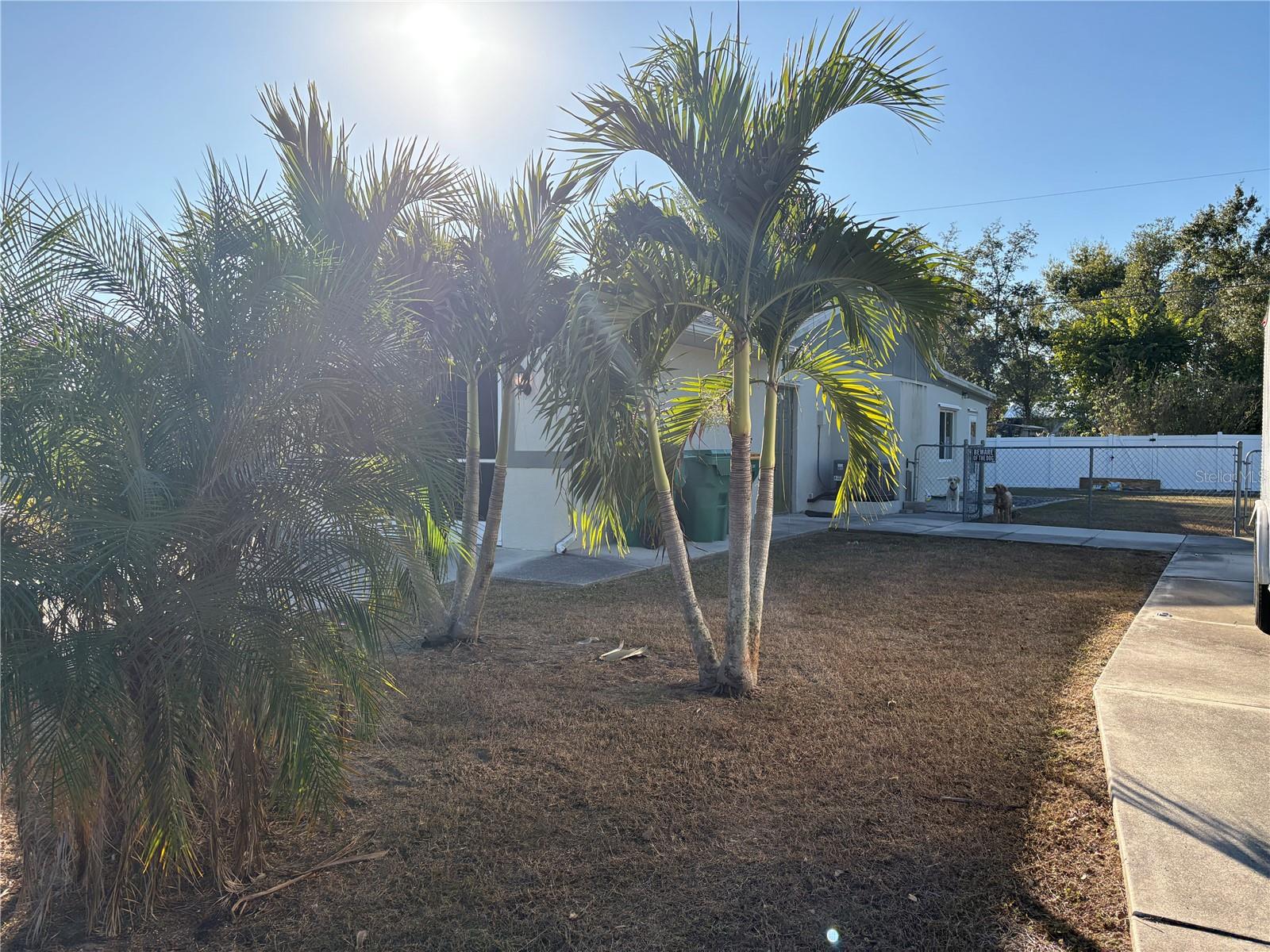 Image 4 of 35 For 2409 Dando Street