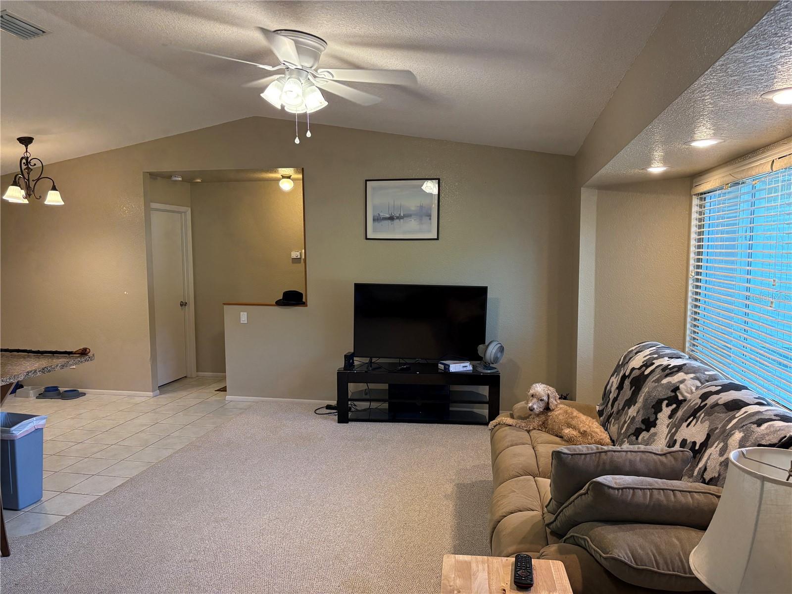 Image 8 of 35 For 2409 Dando Street