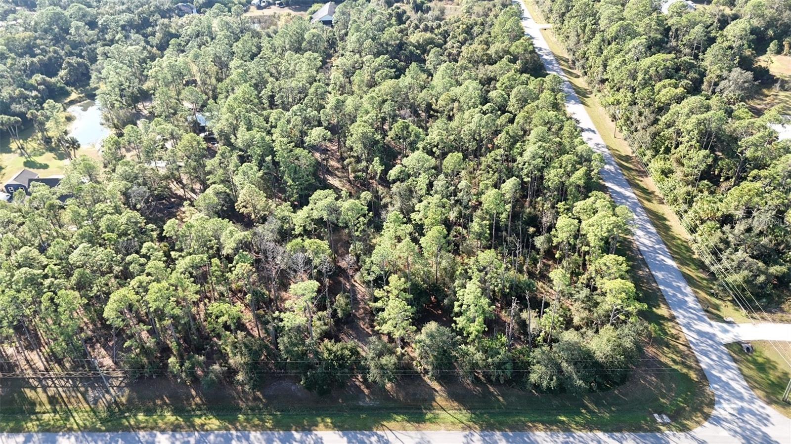 Image 11 of 11 For Estates Lot #1 Blk 10 Drive