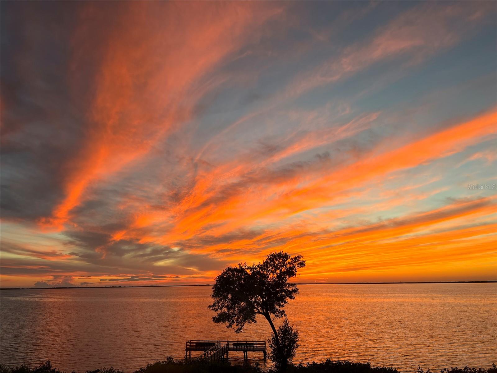 Image 3 of 56 For 101 Marion Court 222