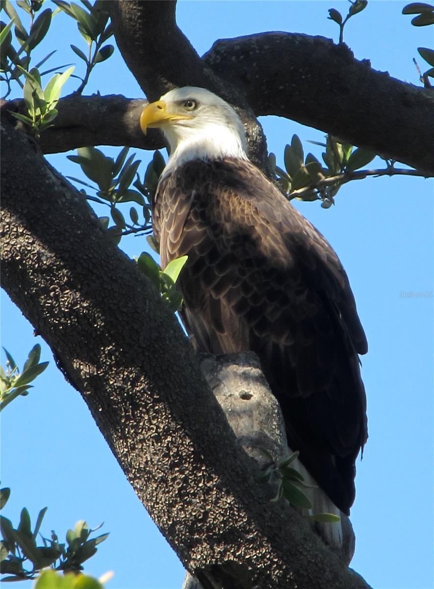 Image 56 of 56 For 101 Marion Court 222