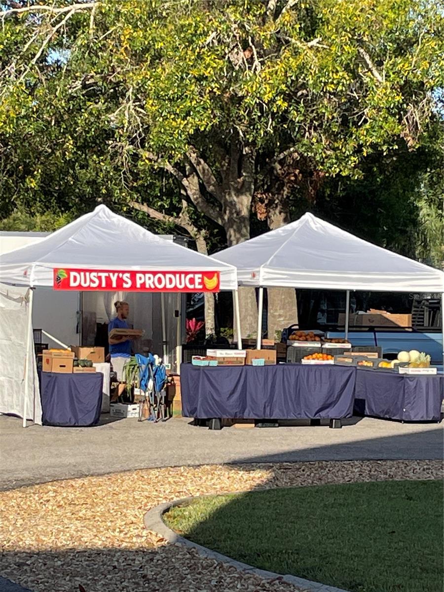 Image 29 of 43 For 10313 Nightwood Drive