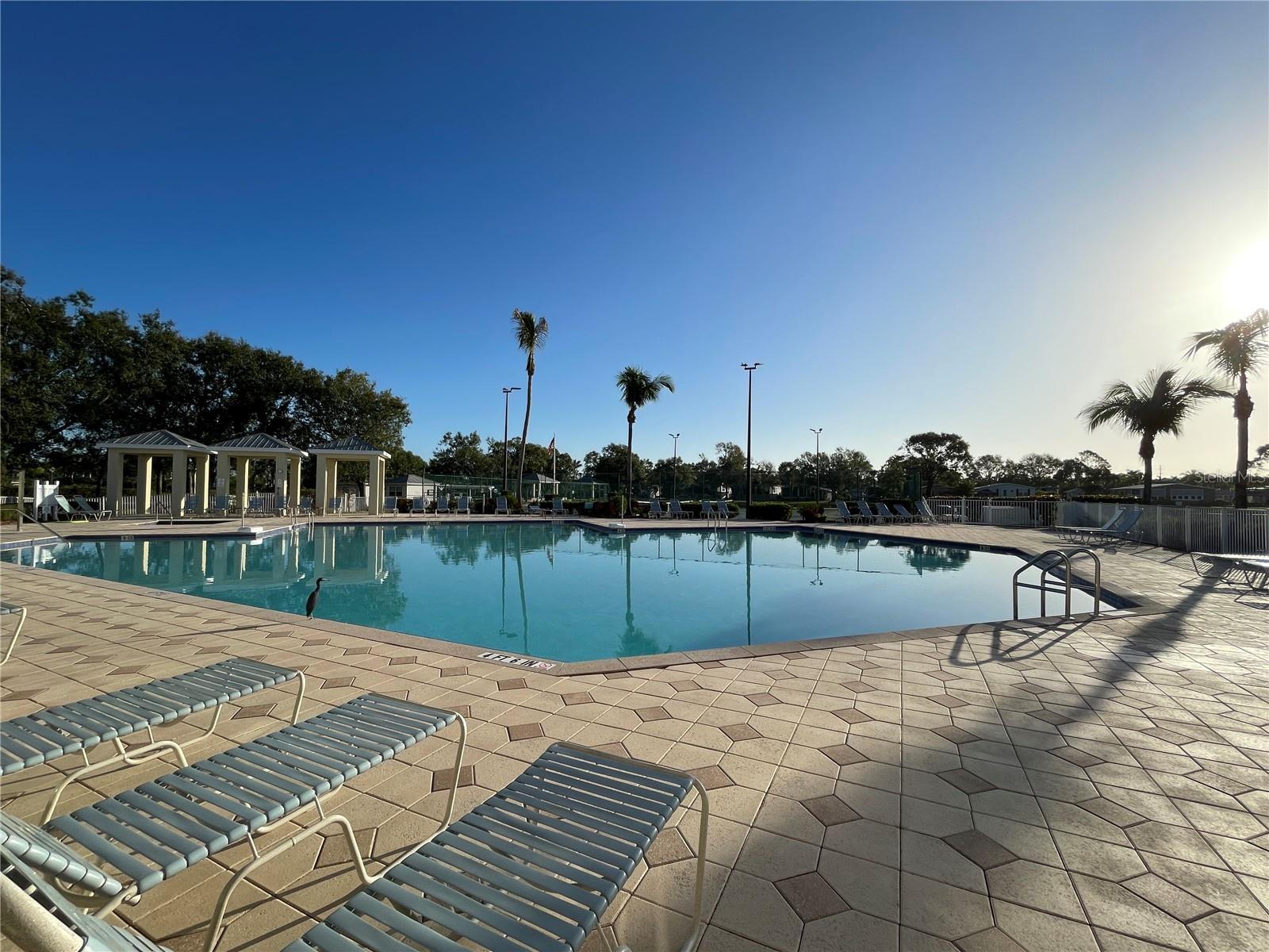 Image 40 of 43 For 10313 Nightwood Drive