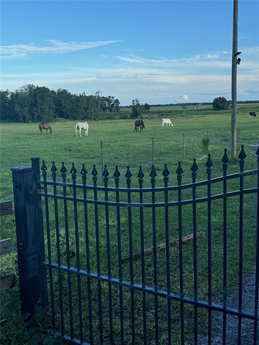 Image 24 of 27 For 702 160th Street