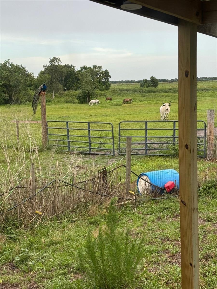 Image 25 of 27 For 702 160th Street