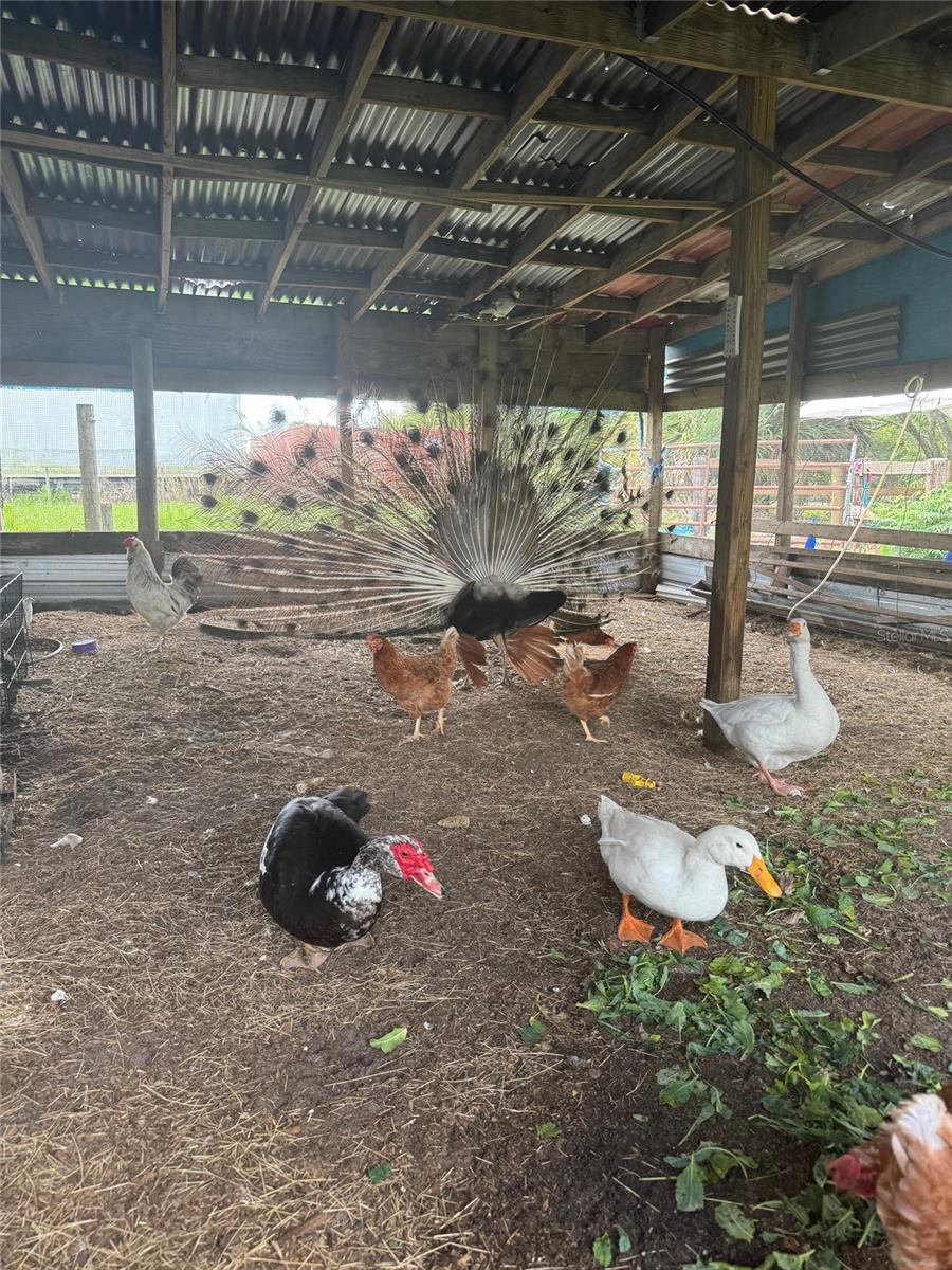 Image 26 of 27 For 702 160th Street