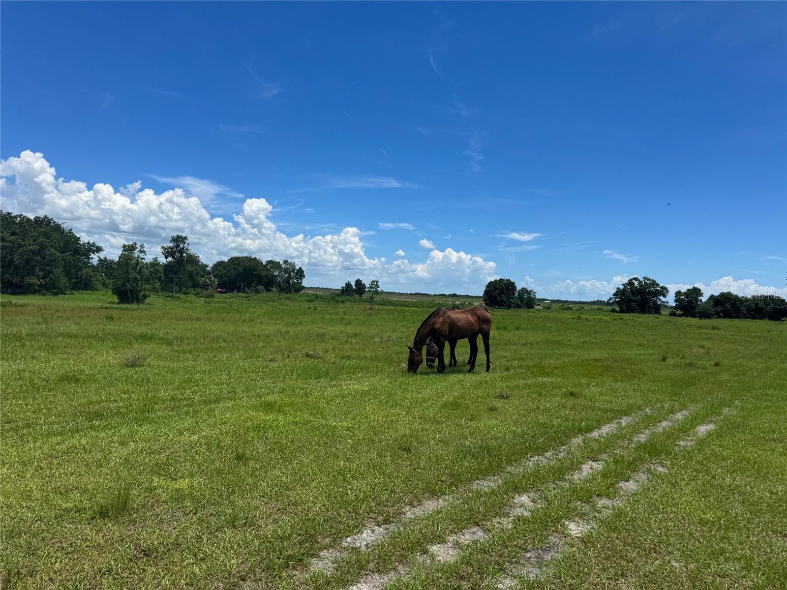 Image 8 of 27 For 702 160th Street