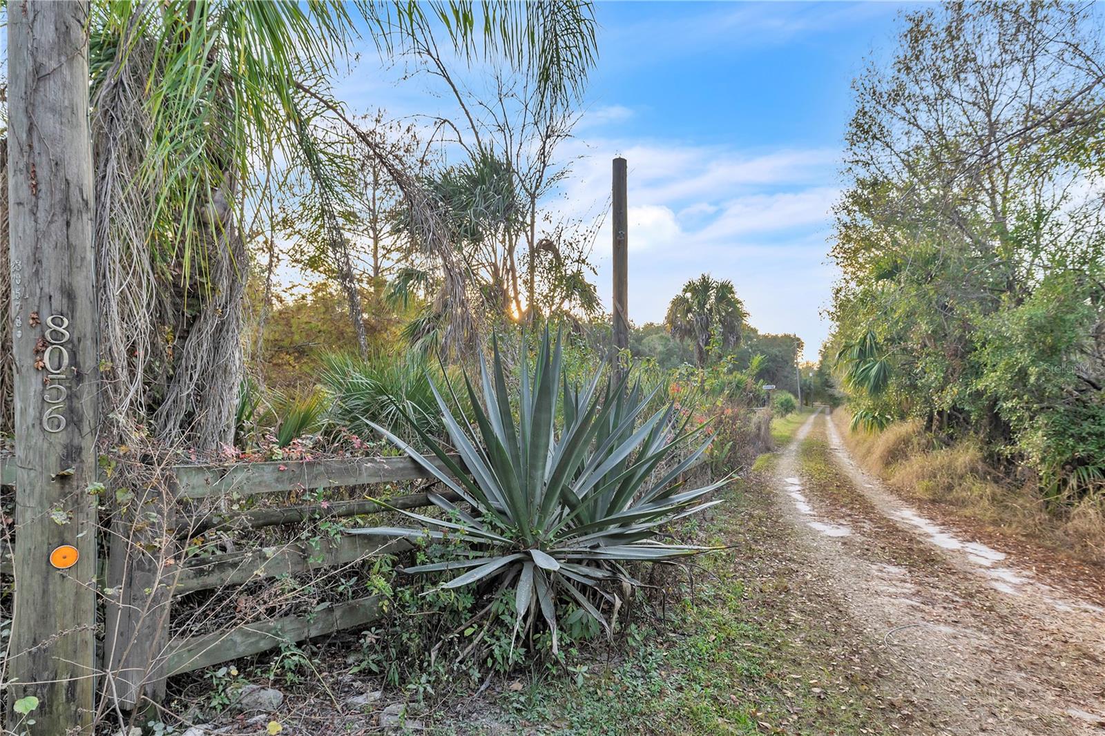 Image 5 of 42 For 8056 Horse Creek Road