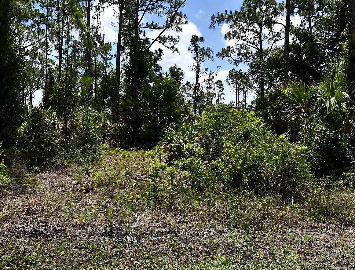 Image 3 of 3 For Einstein Street