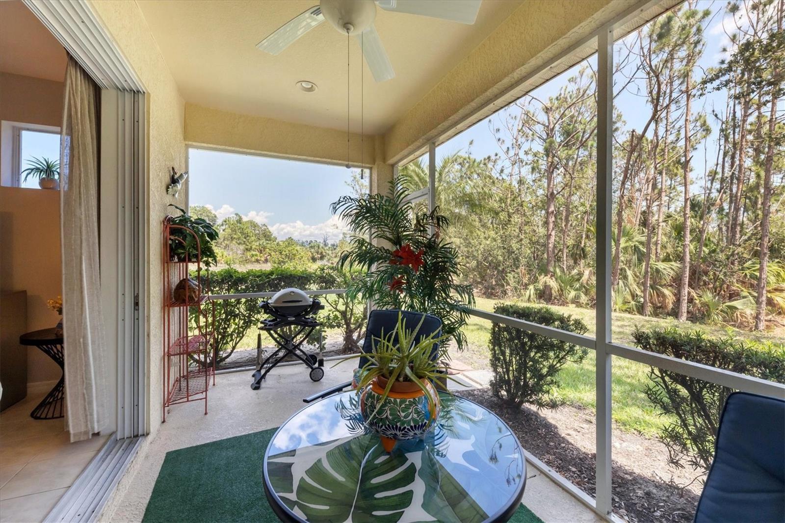 Image 28 of 47 For 1279 Jonah Drive