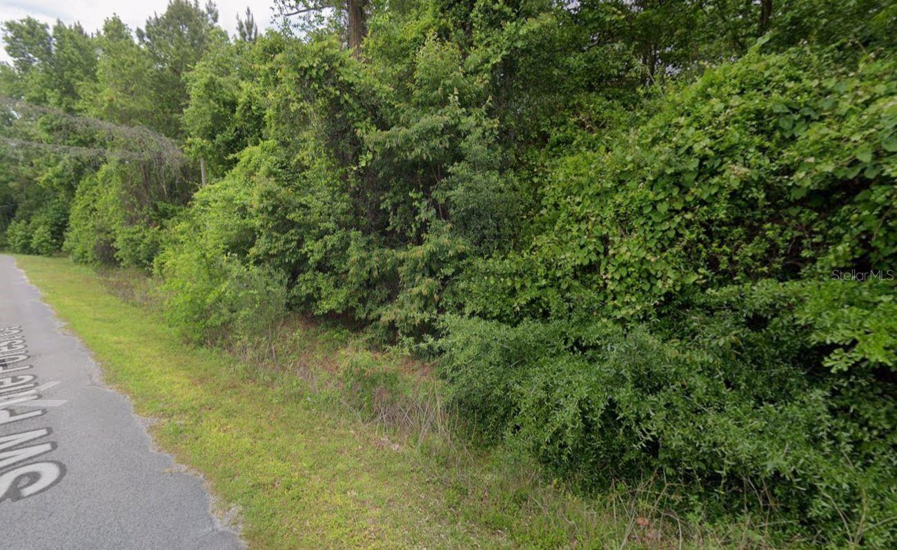 Image 3 of 10 For 291 Pine Forest Court