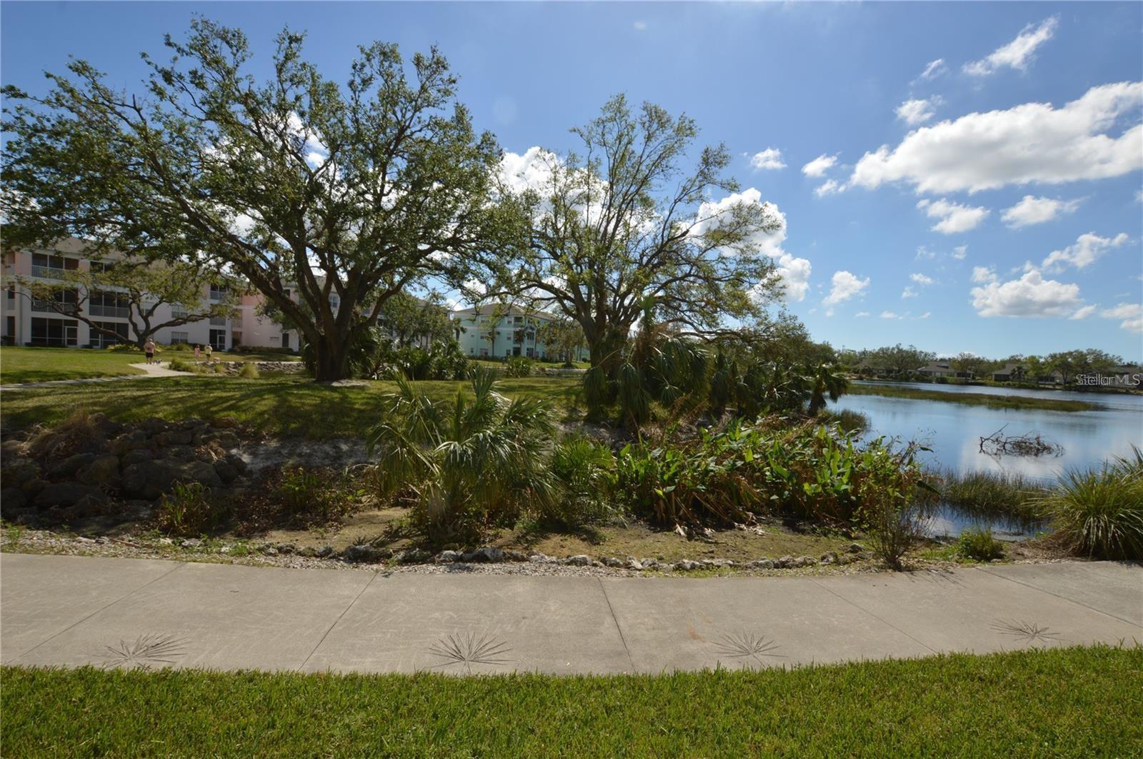 Image 31 of 31 For 19385 Water Oak Drive 203