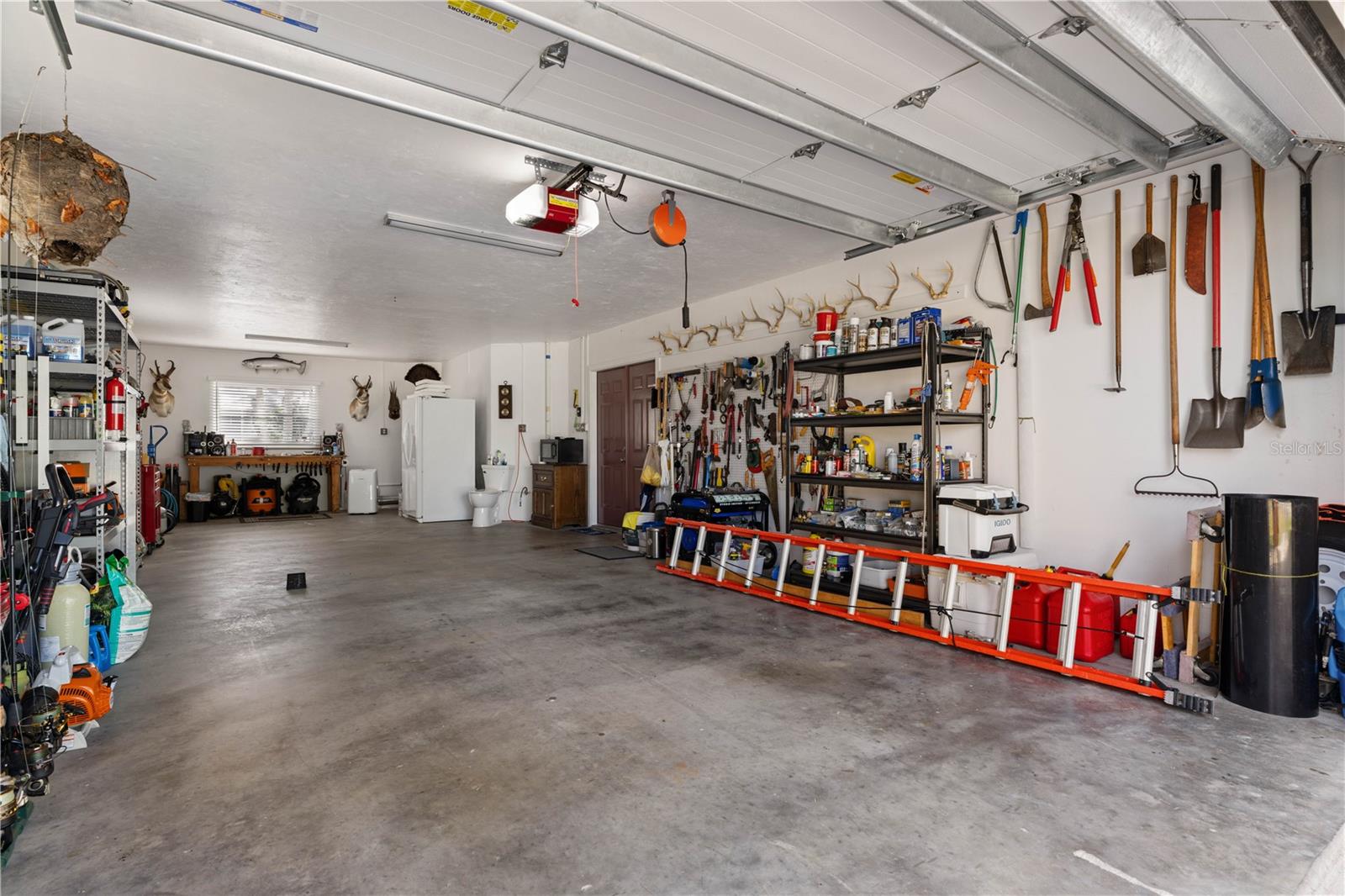 Image 61 of 75 For 24377 Treasure Island Boulevard