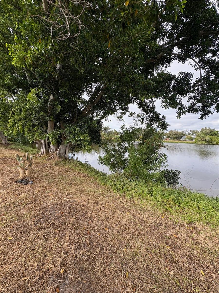 Image 10 of 55 For 947 Shasta Road