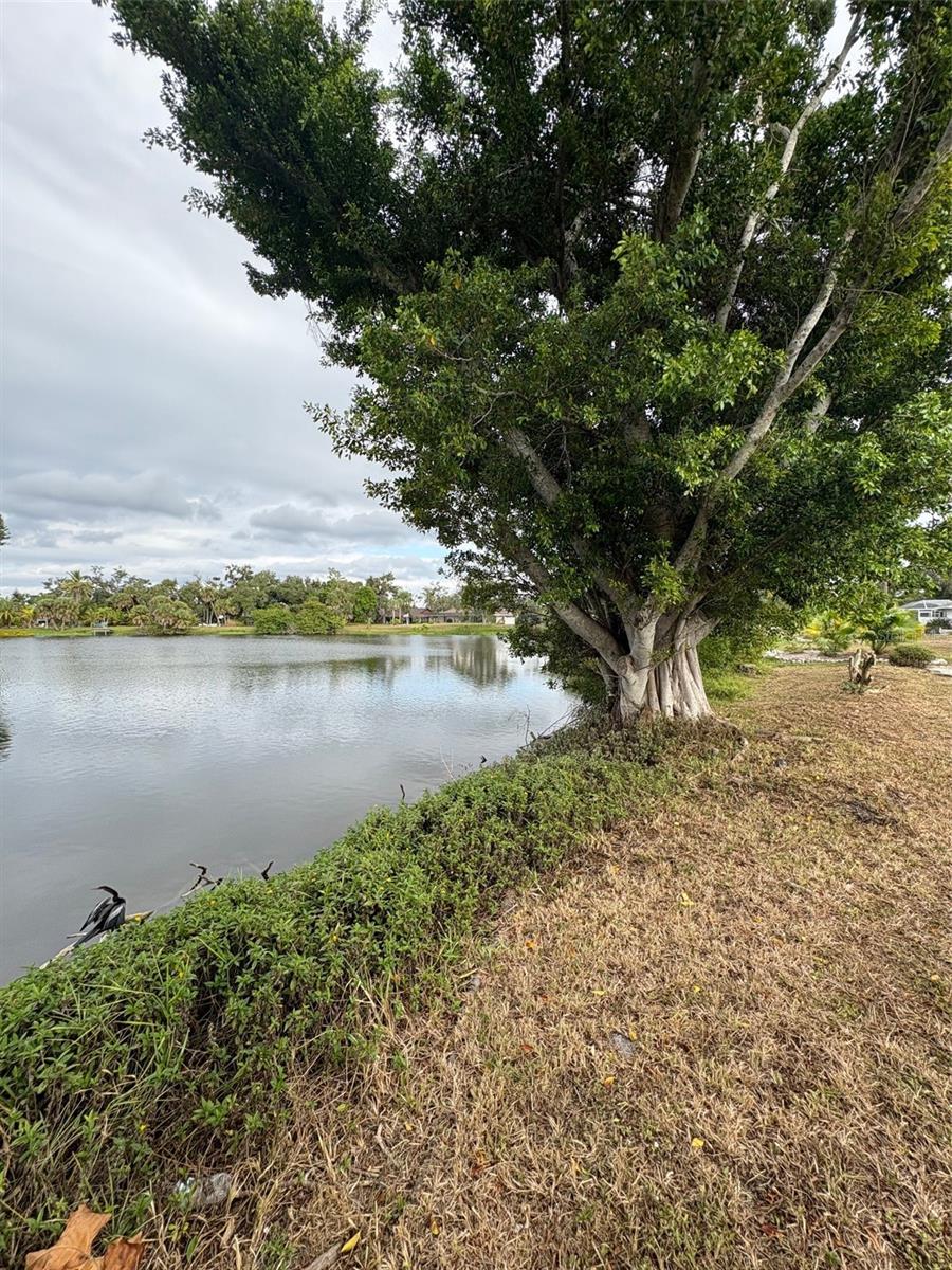 Image 11 of 55 For 947 Shasta Road