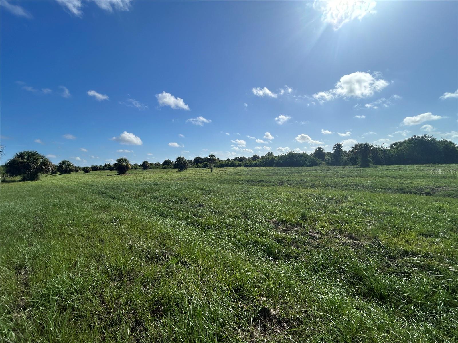 Image 2 of 4 For 7008 Grove Boulevard