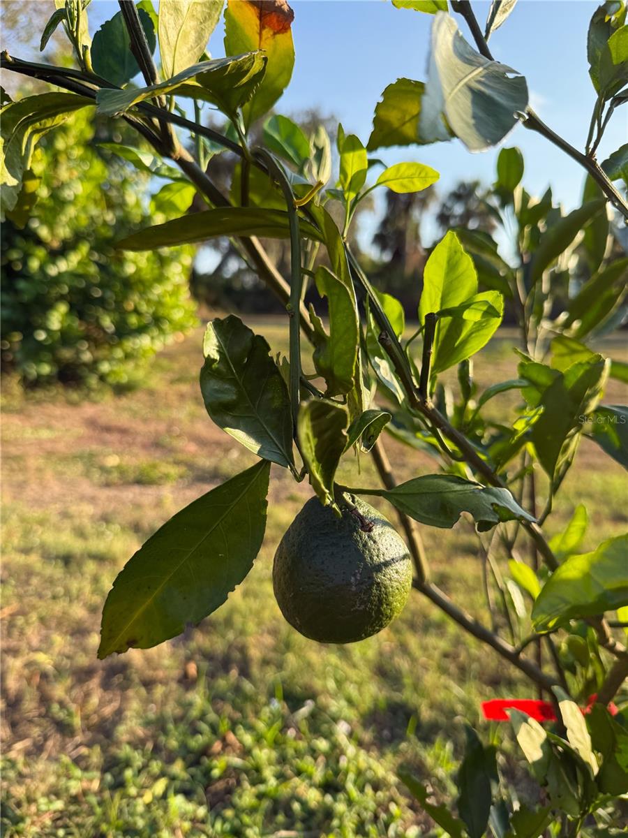 Image 41 of 45 For 2750 Abbotsford Street